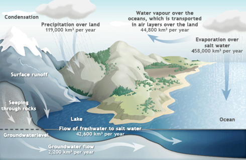 Water cycle illustration